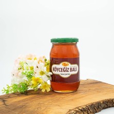 Aydenstore Balı Çiçek Balı 450 G Cam Kavanoz