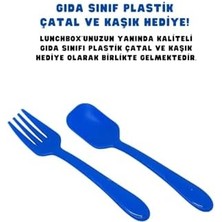 Aydenstore Bento 1030ML Lunchbox Hotwheels Lisanslı Tek Katlı 2 Bölmeli Paslanmaz Çelik Sefer Tası Yemek Kutu