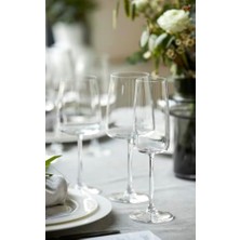 Aydenstore Glas Zero Kadehi 4 Adet 30 cl