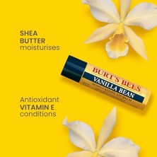 Aydenstore Burt's Bees Vanilla Bean Lip Balm, Dudak Bakım Kremi, 4.25 Gram
