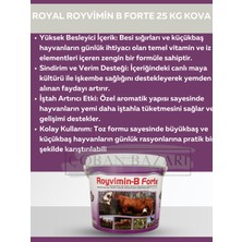 Royal Royvimin B Forte Toz Besi Hayvanı Yem Katkısı 25 Kg