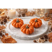 The North Store 3'lü Balkabağı Biblo Seti