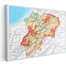 Tablofest Yatay Kanvas Tablo Artvin Topografik Çizim Harita Tablosu Ev Ofis Duvar Dekoru