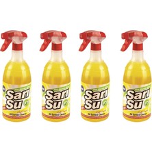 Aydenstore Sarı Su SS65 1000ML 4 Adet