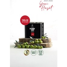 Gaia Oliva Everyday Trilye 2 Lt Natürel Sızma Zeytinyağı