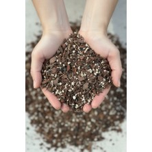 Minik Orman Botanik Tropik Güç - Güçlü ve Yetişkin Aroid Bitkiler Için Substrat (Monstera, Philodendron, Anthurium)