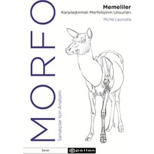 Morfo - Memeliler Karşılaştırmalı Morfolojinin Unsurları