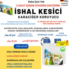 Black Is.hal Ke.sici, Ka.raci.ğer Koru.yucu, Sin.dirim Sis.temi Dü.zen.leyici 125 ml Kısa Sürede Etkili