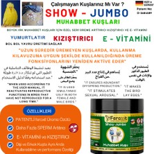 Show-Jumbo-Kızıştırıcı -E Vitamini- Arttırıcı Muhabbet Kuşlarına Özel Seri 100 gr