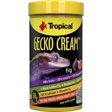 Tropical Gecko Cream Fig Incirli Gecko Yemi 100ML 50GR