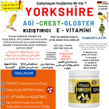 Feroxit Yorkshire-Agi-Crest Irk Kanaryalar İçin  Arttırıcı- E Vitamini ve Kızıştırıcı 20 gr