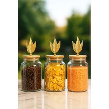 Jenisa 3’lü Bambu Kapaklı Yaprak Figürlü Kavanoz Seti - Orta Boy Saklama Kabı 890ML