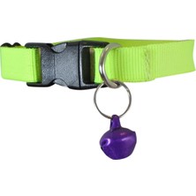 Hype Store Zilli Kedi Boyun Tasması Yavru Kedi Boyun Tasma