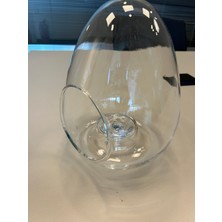 Farmlove Teraryum Yumurta Cam Fanus Boş Fanus Teraryum Mini Bahçe Ev Mutfak Dekorasyon Malzemeleri