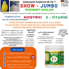 Feroxit Muhabbet Premium Kızıştırıcı Üreme Arttırıcı ve Süper E Vitamini