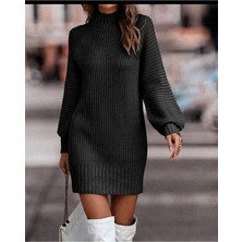 Sidelya Concept Kadın Uzun Kollu Balıkçı Yaka Mini Triko Elbise