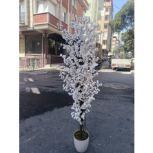 Rüzgar Yapay Çiçekçilik 180 cm Beyaz Saksıda Beyaz Bahardali Ağacı