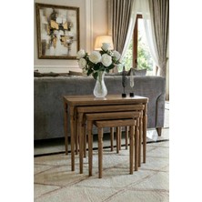 4lü Ceviz Ceviz Lüx Mdf Ahşap Zigon Sehpa Gürgen Ağaç Ayak Bella Vetro