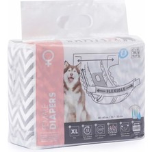 Hype Store Diapers Dişi Köpekler Için Külot Xl 10'lu
