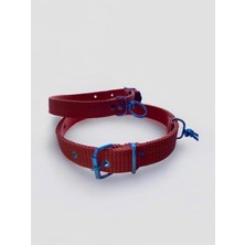 Hype Store Büyük Boy Köpek Tasması Turuncu 60 cm