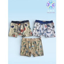 Gmn Collection Gmn Collectıon Erkek Çocuk 3'lü Boxer Seti