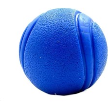 Hype Store Mavi Yumuşak Dokulu Köpek Oyun Topu Mavi