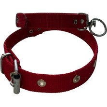 Hype Store Orta Boy Köpek Tasması- Kırmızı 50