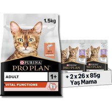 Hype Store Somonlu Yetişkin Kedi Maması 1.5 kg + Purina Healthy Start Sos Içinde Hindi Etli Yavru Kedi Maması 8