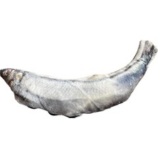 Hype Store Peluş Kedi ve Köpek Oyuncağı - Balık 28CM