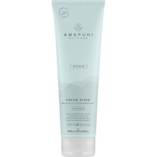 Hype Store Wild Ginger Awg Repair Cream Rinse Bakim Kremi 250 ml