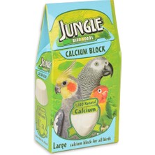 Hype Store Jungle Large Kalsiyum Blok Gaga Taşı