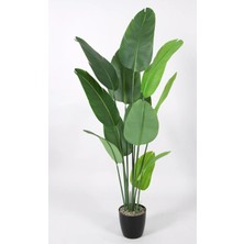 Rüzgar Yapay Çiçekçilik 180 cm Starlice Ağacı