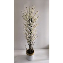 Rüzgar Yapay Çiçekçilik 30X30 Krem Gold Saksıda 180 cm Bahardalı Ağacı
