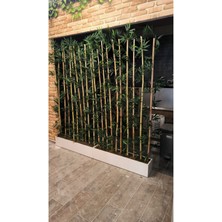 Rüzgar Yapay Çiçekçilik Mdf Saksıda Bambu Seperatör 100X20X20