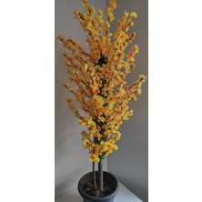 Rüzgar Çiçekcilik 145 cm Sarı Plastik Saksıda Bahardali