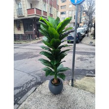 Rüzgar Yapay Çiçekçilik 170 cm Difenbahya Ağacı Beyaz Saksı