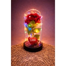 Bijuteri Net Gül Işıklı LED Fanus