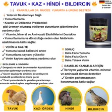 Tavuk Yumurtlatma Vitamini Ovumix 300 gr Büyük Ambalaj
