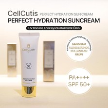 Cellcutis Kök Hücre Özlü Güneş Kremi Spf 50+ | Kore Dermatoloji | Nemlendirici & Koruyucu 50ML