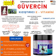 Feroxit 🕊️ Güvercin Üreme Artırıcı • Kızıştırıcı • E Vitamini 100 gr