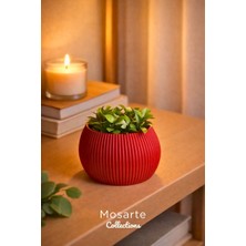 Mosarte Ribbed Modern Yivli Yuvarlak Tasarım Vazo / Dekoratif Obje