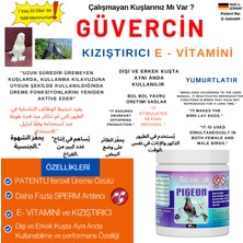 Feroxit 🕊️ Güvercin Premium  Üreme Artırıcı • Kızıştırıcı • E Vitamini 20 gr
