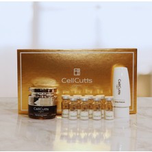 Synergy Cell Kök Hücre Kültürü Ekstreli Yoğun Cilt Bakım Seti