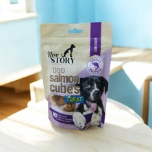 New Story Somonlu Küp Şeklinde Köpek Ödül Maması