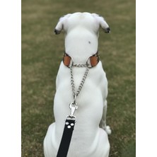 Balkonda Köpek Boyun Tasması Ayarlanabilir Orta, Büyük ve Çok Büyük Irk Deri Tek Zincir