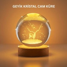 Karahanbey 3D Geyik Desenli Kristal Küre USB Işıklı Ahşap Tabanlı Oda Lambası