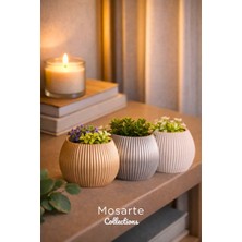 Mosarte Ribbed Modern Yivli Yuvarlak Tasarım Vazo / Dekoratif Obje 3'lü Set