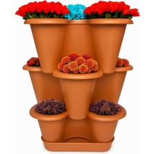 Hype Store 3 Katlı Şanslı Yonca Tasarımlı Dekoratif Saksı Seti, 26.5 x 26.5 Cm, Çiçek ve Bitki Sebze Yetiştirme