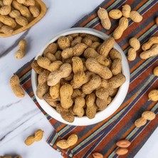 Lebsan Kuruyemiş Kabuklu Yer Fıstığı