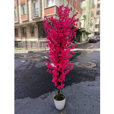 Rüzgar Yapay Çiçekçilik 180 cm Beyaz Saksıda Fuşya Bahardali